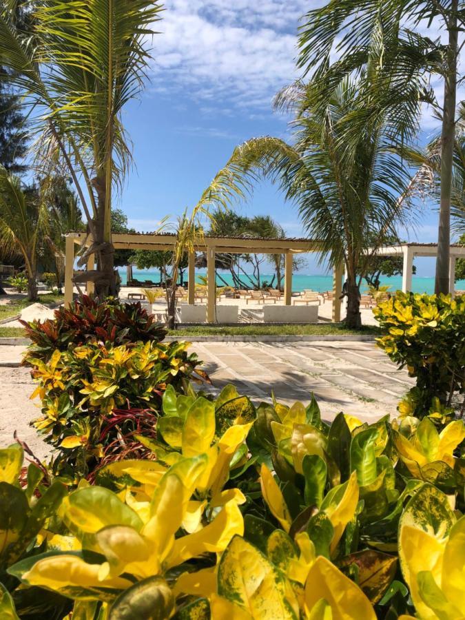 Jambo Beach Hotel Paje Eksteriør bilde
